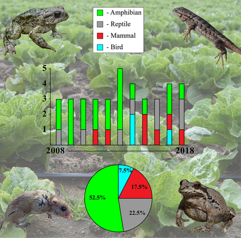 Illustration for article titled How many animals have been found in salads since 2003?